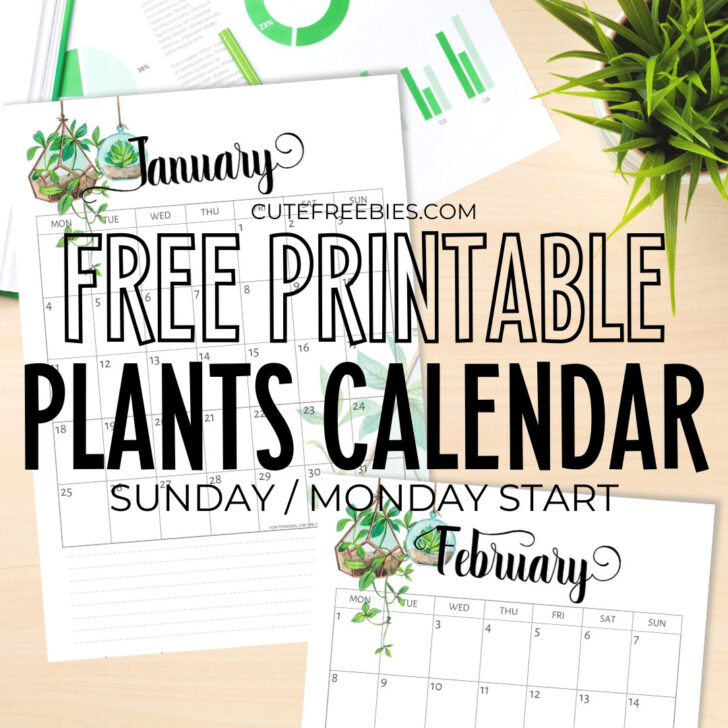 Free Printable Planting Calendar 2025