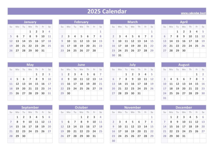 2025 12 Month Calendar Printable