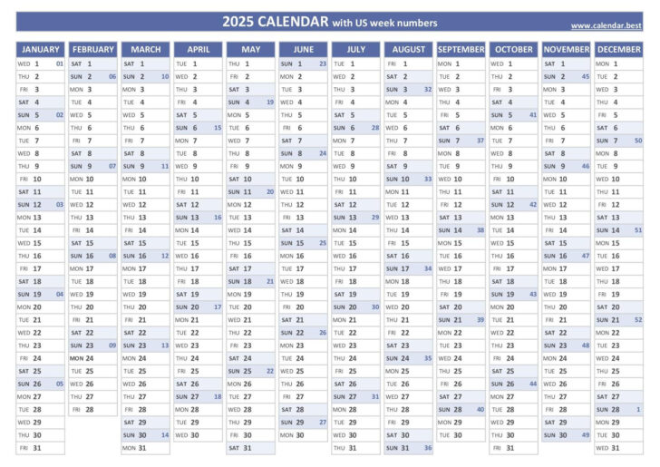 1 Week Calendar 2025 Printable