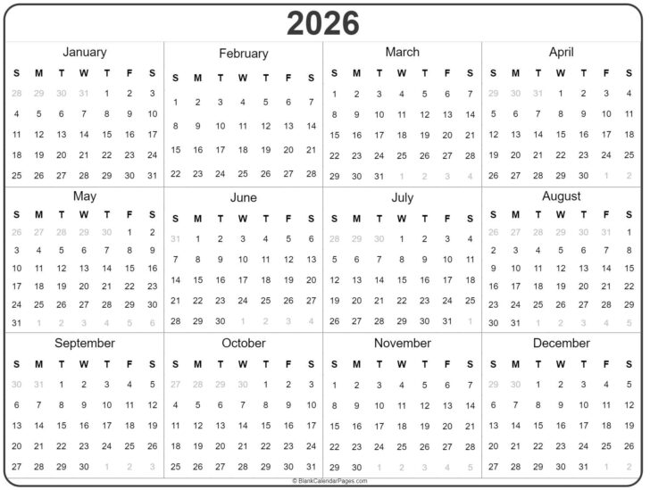 12 Month 2026 Calendar Printable