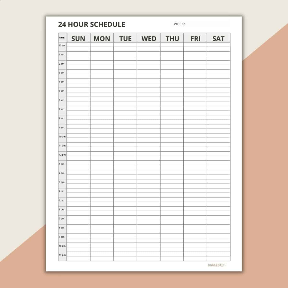 24 Hour Daily Schedule Template - 1 Page Layout (Printable pertaining to 24 Hour Weekly Calendar Printable