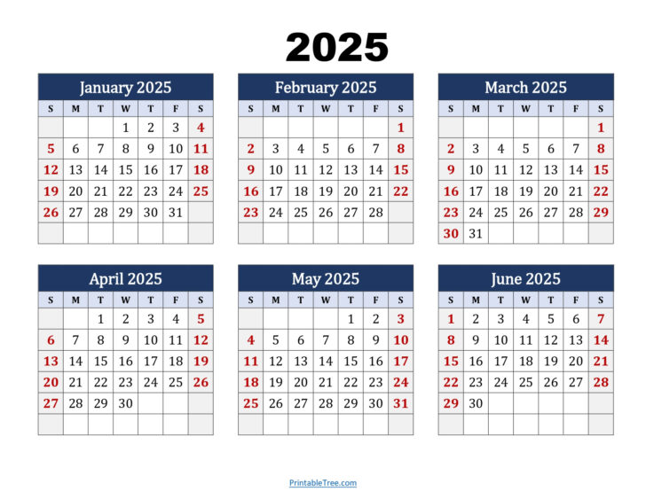 2025 6 Month Calendar Printable