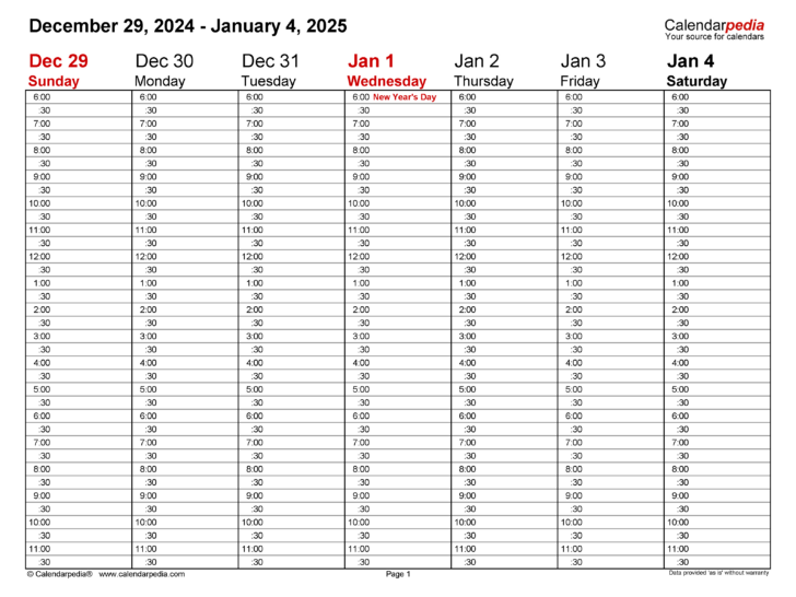 Printable Daily Calendar 2025 with Time Slots